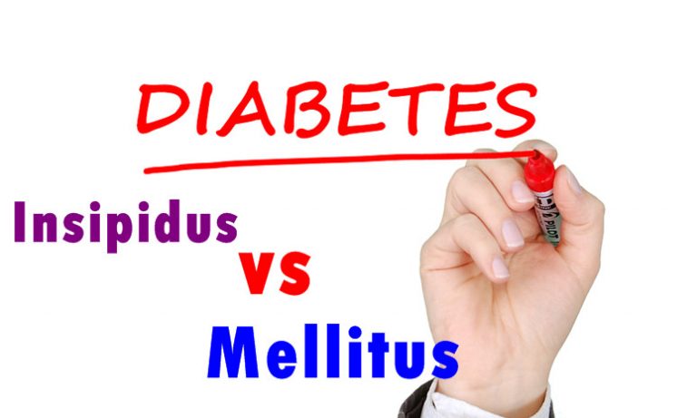 How diabetes Insipidus differs from diabetes mellitus - Primary Medical